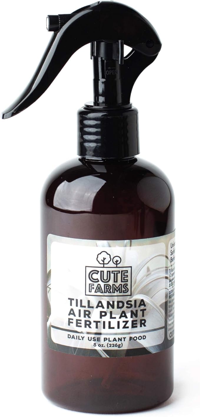 Cute Farms Tillandsia Air Plant Fertilizer | Gentle Daily Use Formula Plant Food | Formulated Nutrients for Air Plants (8 oz. Spray Bottle)