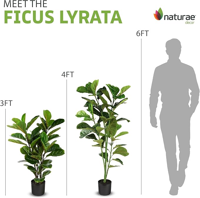 Naturae Decor Artificial Fiddle Leaf Fig Tree - 35-inch Ficus Lyrata Tall Faux Plant in a Black Pot - Realistic, Color Lock, Durable - Indoor or Outdoor Use - Modern Decoration for Home or Office