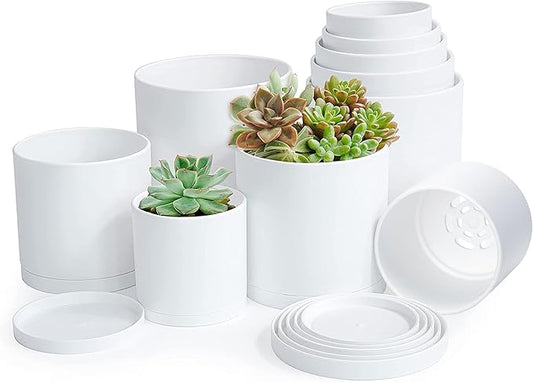 D'vine Dev Pack of 10 Plastic Plant Pots (2 Set of 6 Inch, 5.5 Inch, 5 Inch, 4.5 Inch, 4 Inch) Small Planter Pots for Plant with Drainage Holes and Saucers, White, 74-R-A
