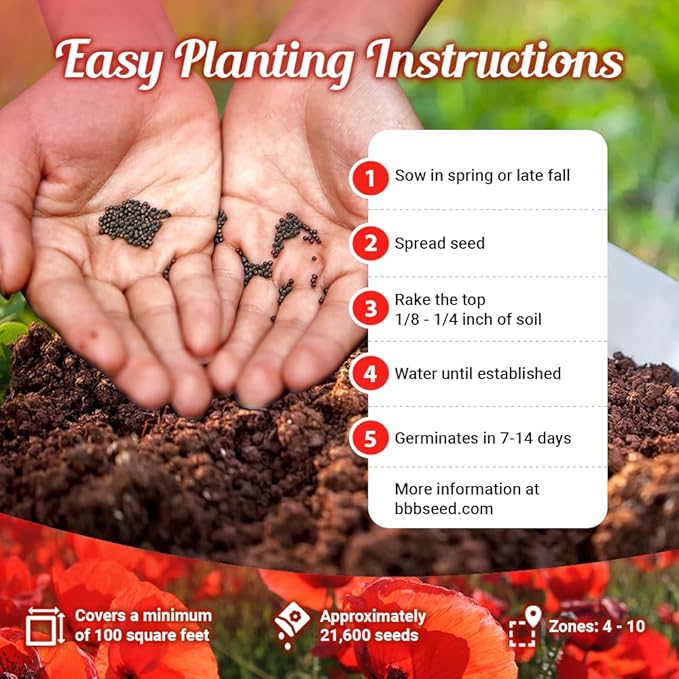 Parade of Poppy Wildflower Seeds - 1oz, Open-Pollinated Flower Seed Mix Packets, No Fillers, Annual, Perennial Wildflower Seeds, Year Round Planting - 1 oz (Pack of 2)