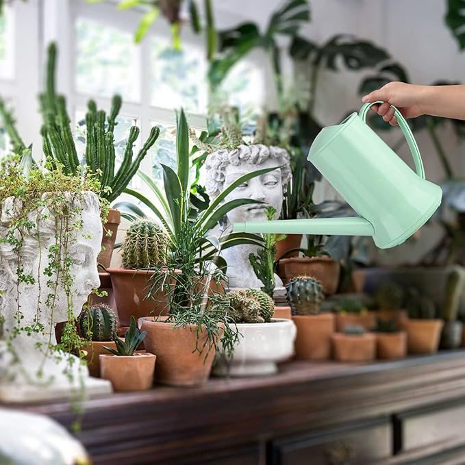 XXXFLOWER 1/2 Gallon Small Indoor Plant Watering Can, 2L Long Spout Removable Nozzle Flower Watering Pot for Office House Indoor Garden（Green, 67 oz）