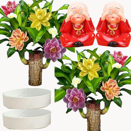 Brazilian Lucky Wood Plant, Brazilian Wood with Energy Crystals, Low-Light Office, Bedroom Decor, Home Good Luck Decor (2red)