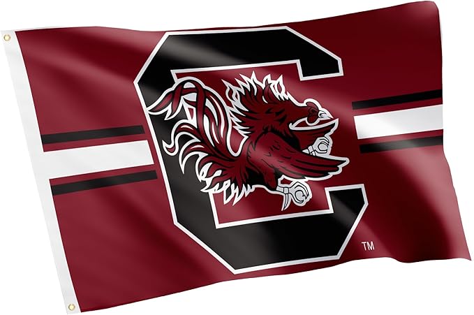 Desert Cactus University of South Carolina Flag Gamecocks USC Cocky Banners 100% Polyester Indoor Outdoor 3x5 feet Flags (Design L)