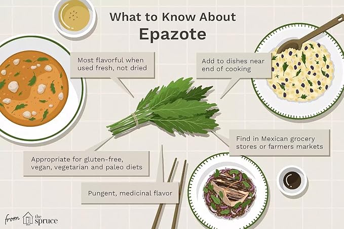 Live Epazote Plant/Mexican Tea. Year's Supply. Family Pack. Helps Immunity, Digestion, Metabolism. Flavorful, Pungent, Fresh, Edible. Easy Grow. Indoor/Outdoor. (2 Epazote in Cup)