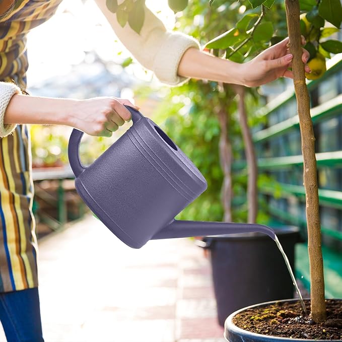 Plant Watering Can for Home Garden - with Long Spout - 1/4 Gallon - Purple