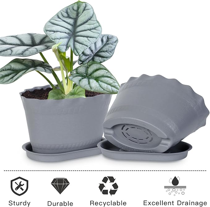 Herb Planter Pots 6 Pcs, Window Box Planter Flower Plants Pots for Succulent Cactus Flower with Trays, for Home Garden Kitchen Decor (Grey)