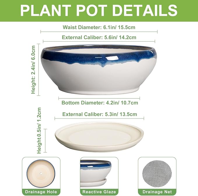 SQOWL Succulent Planters 6 Inch - Ceramic Bonsai Pots with Drainage Hole and Saucer, Round Shallow Planter for Indoor Outdoor Plants, Ceramic Cactus Pot, Apartment Decor, Gifts for Women, Blue-Beige