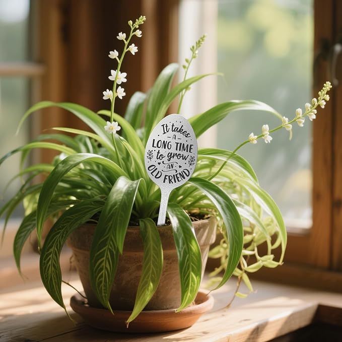 CUTHOLLOW Garden Plant Marker Grow an Old Friend, 2pc Metal Spoon Labels for Outdoor Waterproof - Friendship Gifts for Gardeners Woman - Decorative Garden Plant Tags