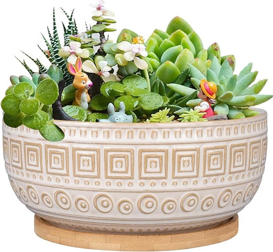G EPGardening 8 Inch Ceramic Succulent Planter Pots for Indoor Plants Round Shallow Bonsai Planter Pot with Drainage and Bamboo Saucer White