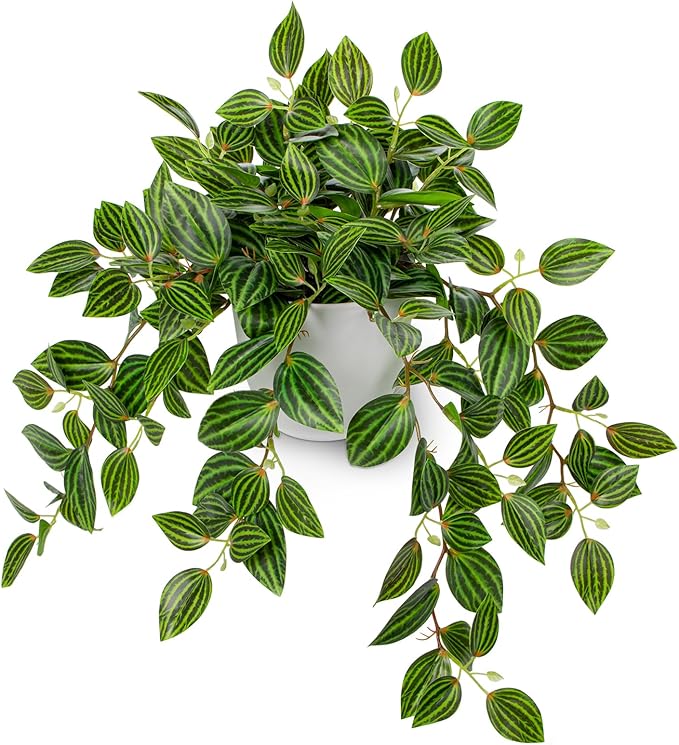 Briful Artificial Plants Indoor Fake Potted Silk Plants Faux Watermelon Peperomia Draping Plant for Home Office Bathroom Shelf Cabinet Tabletop Decoration(Green - 1 Pack)