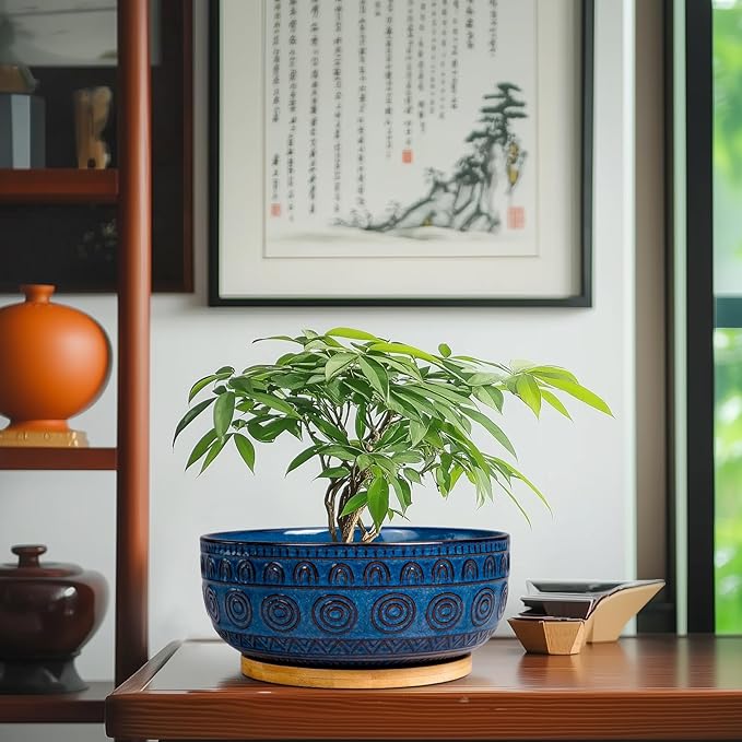 Bonsai Pots 8 Inch - Ceramic Succulent Pots for Indoor Plants, Shallow Round Planters with Drainage Hole and Saucer, Boho Bonsai Bowl, Home Decor, Blue