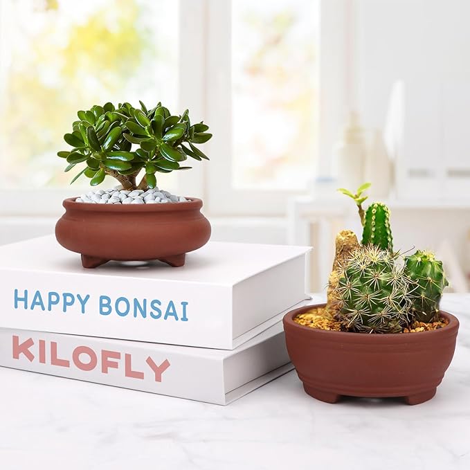 Bonsai Planter 2 pc 3.9" + 4.1" Unglazed Round Ceramic Succulent Pots Set