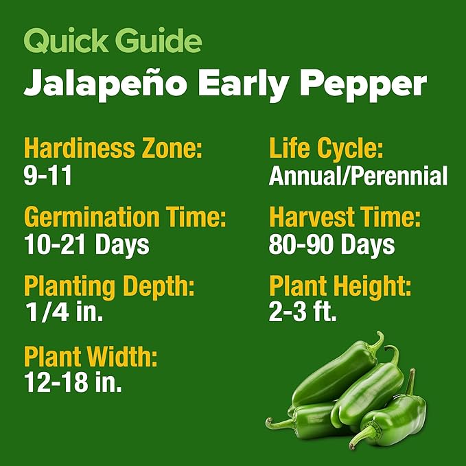 HOME GROWN Jalapeno Pepper Seeds – 129 Heirloom Seeds (Capsicum annuum) – High Germination, Easy to Grow, Early Harvest Hot Peppers