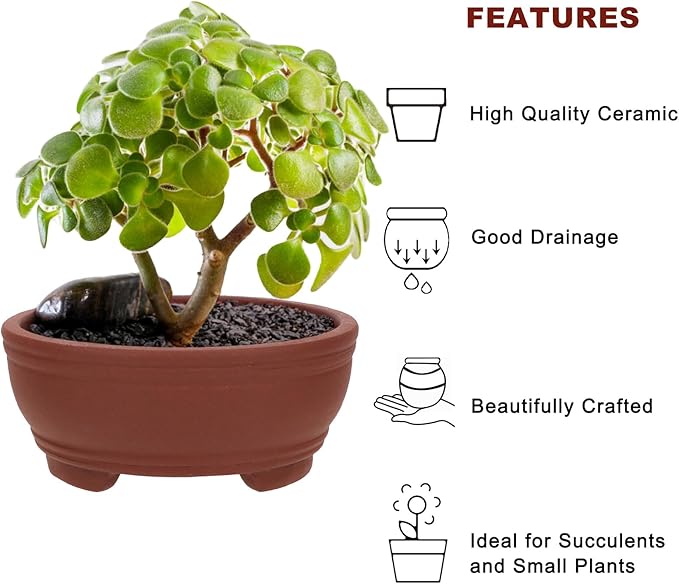 Bonsai Planter 2 pc 3.9" + 4.1" Unglazed Round Ceramic Succulent Pots Set