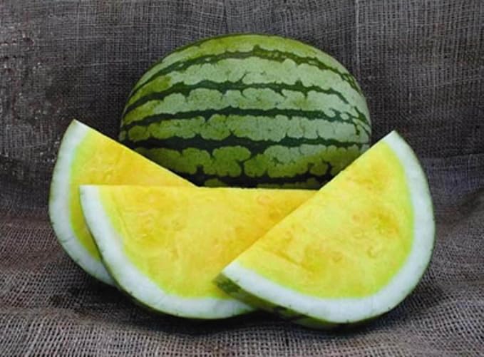 Yellow Watermelon Seeds Rare Hierloom Vegetable for Planting Giant Non GMO 15 Seeds