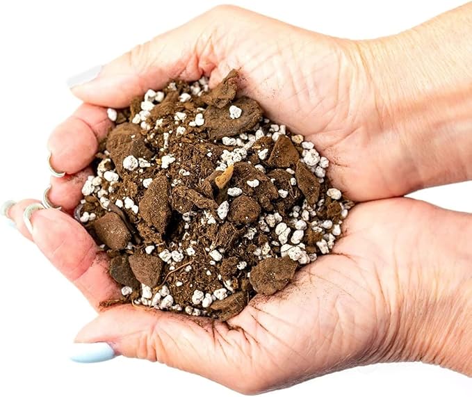 GARDENERA Palm Tree Potting Mix - The Ultimate Soil for Strong and Healthy Palms - Top Choice for Palm Tree Growers [3 Quart Bag]
