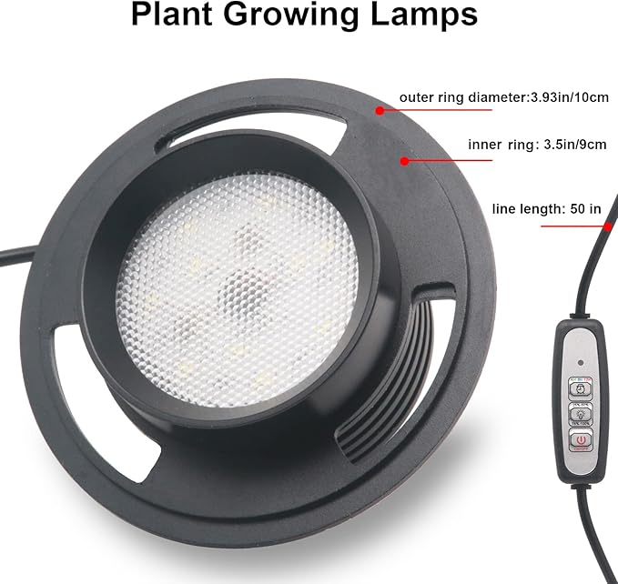 Desktop Glass Plant Terrarium with Grow Light (H:7.8" D:4"), for Succulent, Moss, Miniature Gardening Landscape, Betta Fish Tank, Office Home Decoration, Plant Lovers Gifts