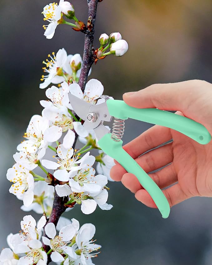 Pruning Shears for Gardening, 4 Pack Garden Scissors for Cutting Fresh Flowers, Floral Clippers for Plants, Fruits (Pink, Green, Blue, Black)