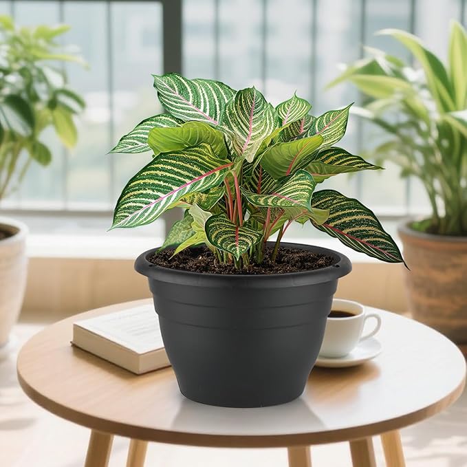 Plant Pots Indoor with Drainage, 3 Pack 11 Inch Plastic Pots for Plants（10 inch Inner Diameter）, Durable Plastic Flower Pots, Planters for Indoor Ourdoor Plants, Black