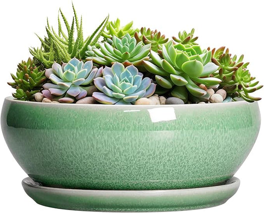 SQOWL Succulent Planter 12 Inch - Ceramic Bonsai Pots with Drainage Hole and Saucer, Large Shallow Planter, Bowl Round Planter for Indoor Outdoor Plants Flower, Room Decor, Birthday Gifts, Green