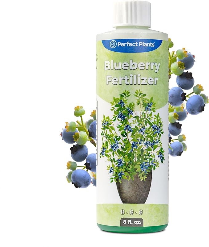 Liquid Blueberry Fertilizer by Perfect Plants | Berry Booster | Premium Fertilizer for Blueberries and Other Acidic Soil Fruiting Plants (8 fl oz)