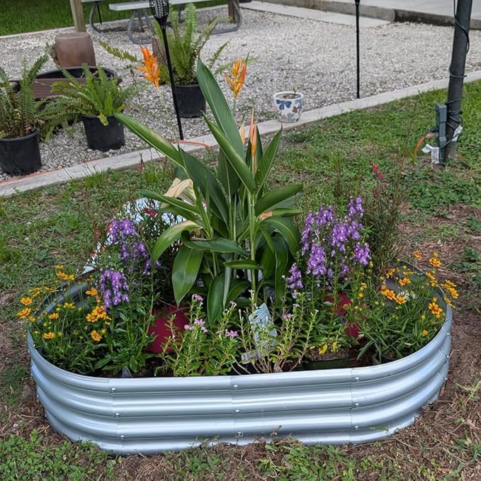 1-Pack 4 * 2 * 1FT Raised Garden Bed Kits, Outdoor Oval Metal Galvanized Ground Planter Garden Boxes for Planting Plants Vegetables Flowers Herbs Fruits, Silver