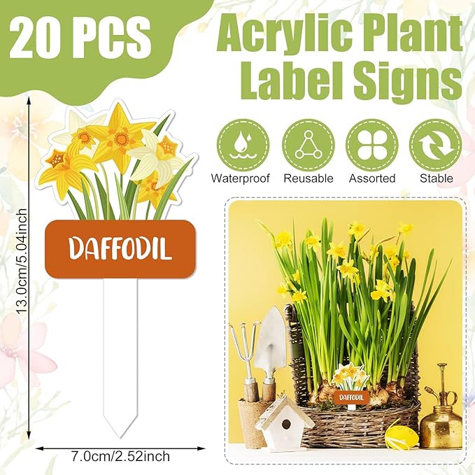 20 Pcs Acrylic Flower Plant Label Signs 20 Style Plant Stake Tags with Names Waterproof Herb Garden Markers Reusable Labels Markers for Seedlings Nursery Garden Succulent Flowers Greenery