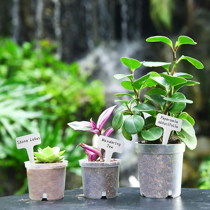 60 Pcs 4 Inch Clear Nursery Pots for Plants, Transparent Plastic Plant Pots with Drain Holes, Seed Starter Pots with 20 Plant Labels for Flowers Vegetable Seedlings