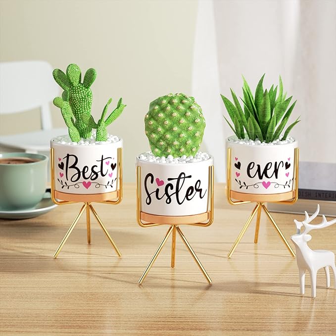 Christmas Sisters Gifts from Sister, Best Gifts for Sister from Brother, Best Sister Ever Ceramic Succulent Pots for Plants Indoor, Gift Boxed Thanksgiving Birthday Gifts for Sister in Law Soul Sister