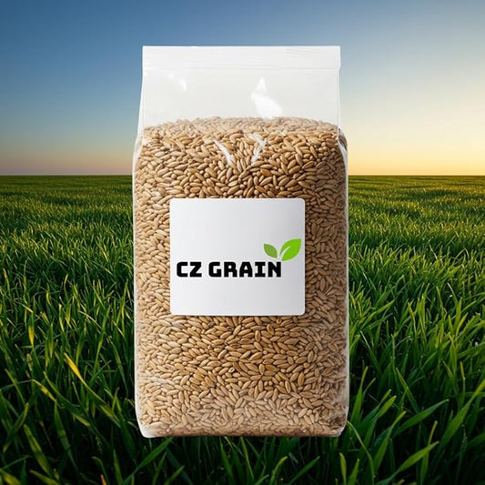 Winter Rye Seeds – Non-GMO Rye Grain Cover Crop – 25 Pound Bag for Soil Health & Weed Control