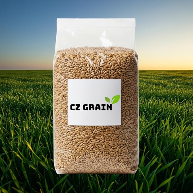 20 Pounds Premium Winter Rye Cover Crop Seeds - Non-GMO Rye Grain - GMO, Winter-Hardy for Soil Health & Deer/Turkey Food Plots - Soil Builder - Weed Supression - Nutrient Recycling