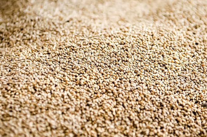 Climax Timothy Grass Seeds for Planting - Cover Crop, Hay Grass, Deer, Wildlife Food Plot Seed (2 Pounds)
