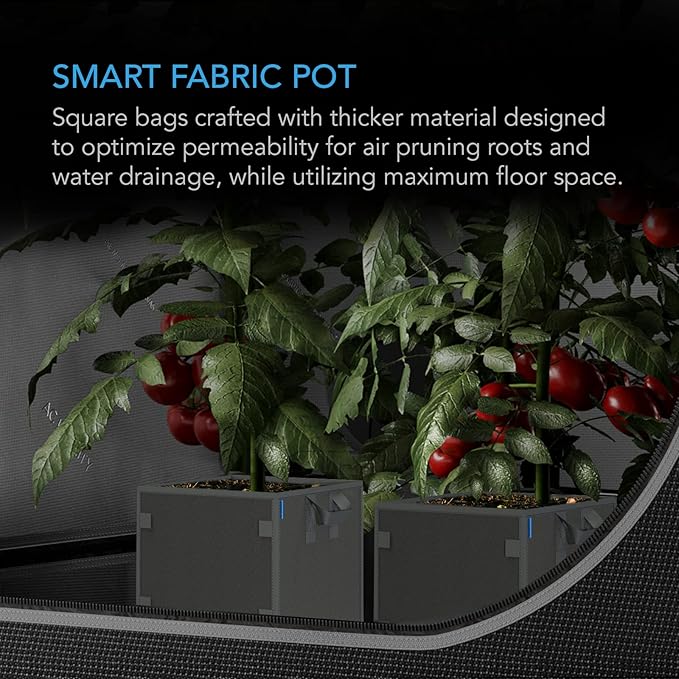 AC Infinity Square Heavy Duty Fabric Pots, 7 Gallon Aeration Reusable Grow Bags 5-Pack with 500G Thick Nonwoven Fabric and Plant Stake Loops, for Garden Growing Fruits, Vegetables, and Flowers
