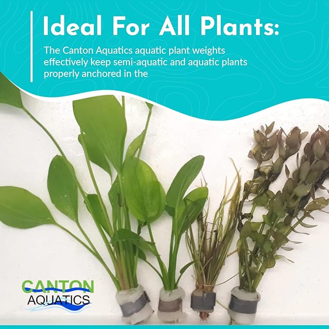 Anchor Lead Plant Holder Flexible Weight - Easy to Manipulate - Used for Submerge Plants in Aquariums or Ponds - 10 Piece Lead Strips - Grey