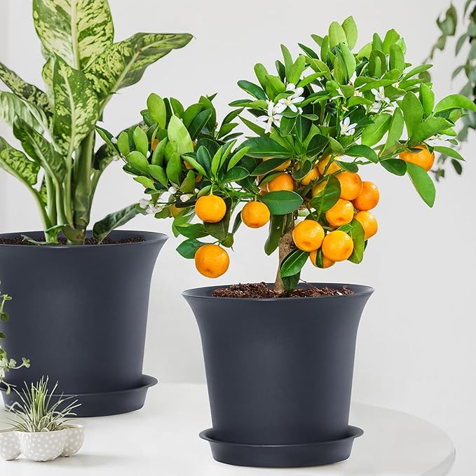 Planter Pots 8 Packs, 7.2 Inches Flower Pots with Drainage Holes & Trays, Ideal for Succulents, Herbs, Flower, African Violet, Garden Plant Pots for Home Garden Kitchen Decor (Dark Grey-2)