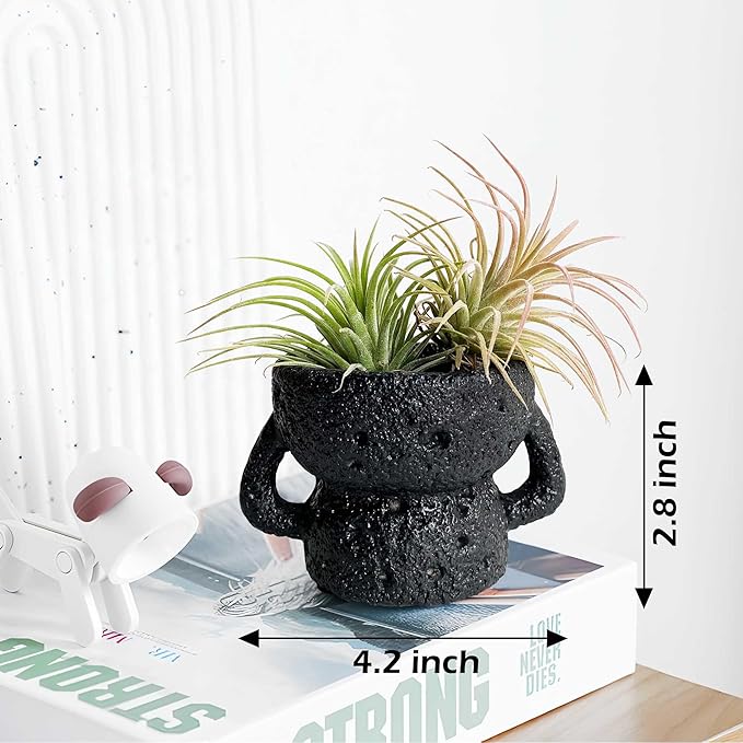 Air Plant Holders Unique, Lava Rock Air Plant Pot, Classy Black Plant Stand Container for Air Plants, Small Rock Pot (Black)