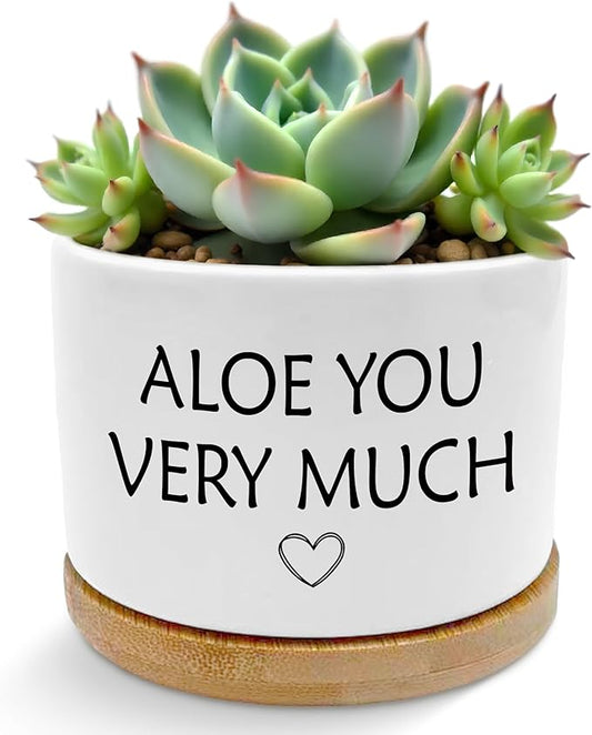 Aloe You Very Much Funny Plant Pots, Gardener Gifts for Women Men Succulent Planters, Funny Gardening Gifts Ceramic Plant Flower Pots for Home Office Desk Table Shelf(No Plants)