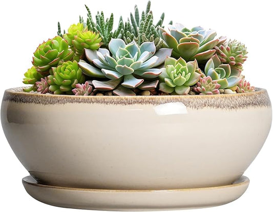 SQOWL Succulent Pots 8 Inch - Ceramic Bonsai Pots for Indoor Plants, Round Shallow Plant Pot with Drainage Hole and Saucer, Bowl Planter Outdoor, Patio Decor, Plant Lover Gifts, Beige