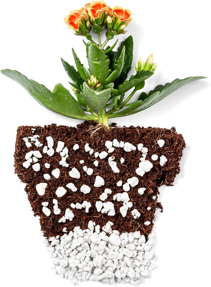 Perlite Bliss (1 Cubic Ft) - Organic Perlite for Plants - Coarse Perlite Bulk Soil Amendment - Chunky Perlite for Plants, Potting Soil, Garden Soil, & Coco Coir - Horticultural Perlite for Gardening