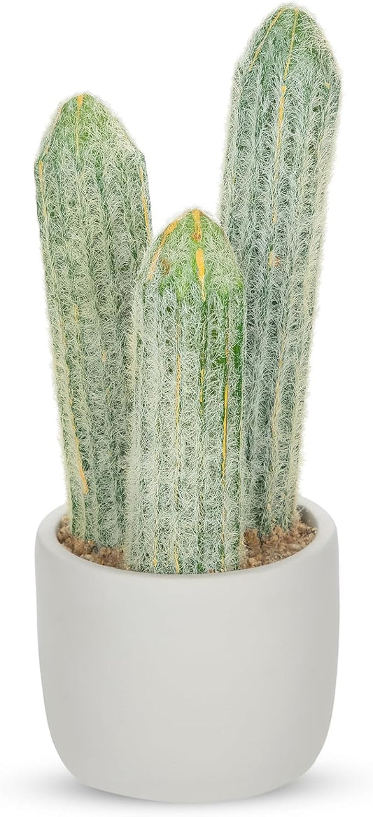 DILATATA 9.8' Small Old Man Cactus Faux Cacti Plant ARTIFICIAL Cactus for Home Garden Office Decor Housewarming Gifts