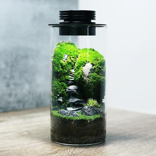 Desktop Glass Plant Terrarium with Grow Light (H:7.8" D:4"), for Succulent, Moss, Miniature Gardening Landscape, Betta Fish Tank, Office Home Decoration, Plant Lovers Gifts