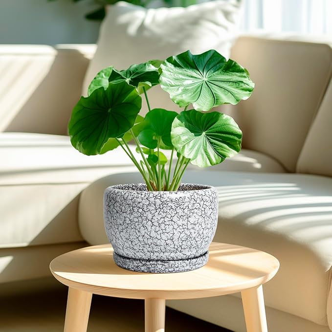 SQOWL 8 inch Plant Pot - Ceramic Planter with Drainage Hole and Saucer, Round Flower Pot for Indoor Plants, Decorative Planter Outdoor, Patio Balcony Decor, House Warming Gifts, Black and White
