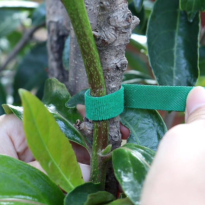 6 Rolls Garden Tie Tape, 196.8 Ft Lawn Plant Ties, Reusable Plant Garden Ties, 1/2''Plant Tape for Climbing Plants, Adjustable Plant Straps for Gardening, Home, Office (196.8 Feet)