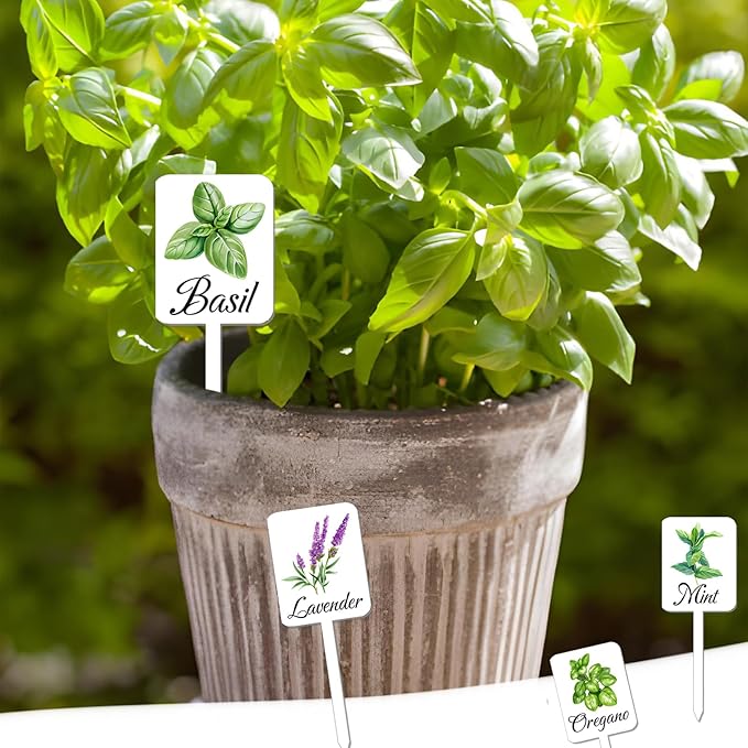 12Pcs Herb Garden Signs - 12 Styles Plant Labels with Names for Vegetables, Indoor/Outdoor Garden Decoration