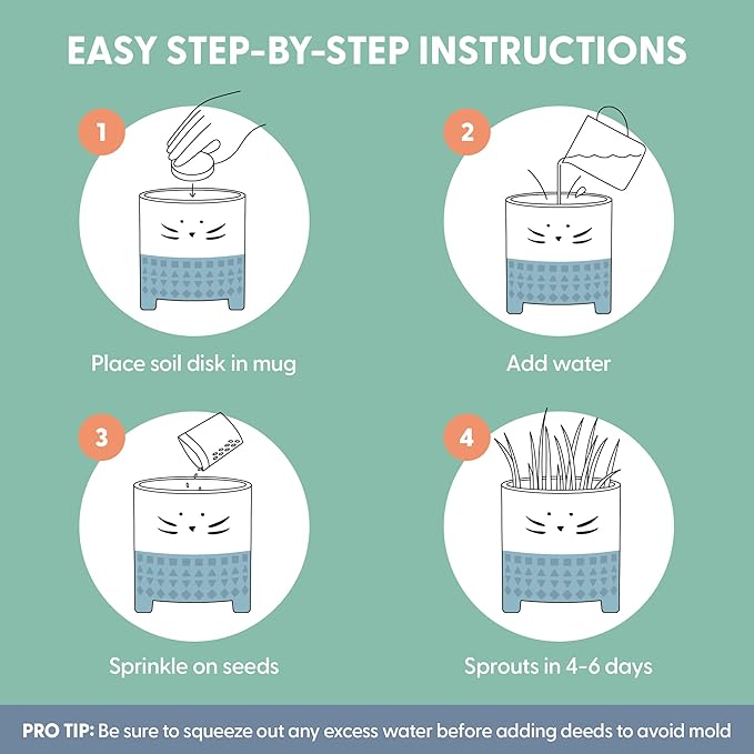 The Cat Ladies Cat Grass for Indoor Cats, Cat Grass Growing Kit with Organic Cat Grass Seed Mix, Soil and Ceramic Cat Planter, Pet Grass for Cats, Natural Hairball Remedy, Cat Gifts