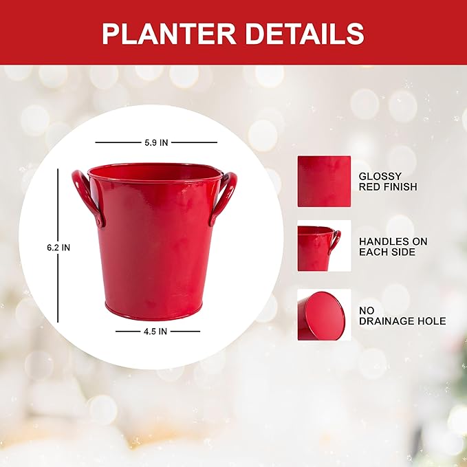 Garden State Bulb Galaxy Nymph Double Amaryllis Bulb Gift Kit, 26/28cm (Red Planter)