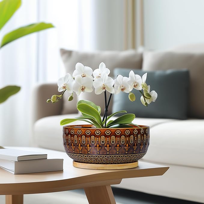Bonsai Pots - 8 Inch Ceramic Planter with Drainage Hole and Saucer, Boho Round Shallow Succulent Bowl for Indoor Plants Flower, Room Decor, Gifts for Plant Lovers, Brown
