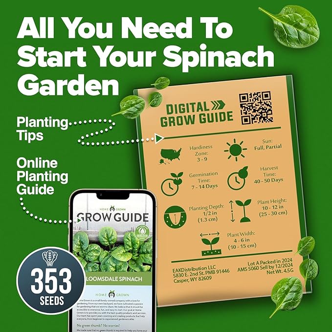 HOME GROWN Bloomsdale Spinach Seeds Pack – 353 Heirloom Seeds – High Germination Spinach for Indoor, Outdoor, Hydroponic Planting & Home Gardens (Spinacia oleracea)