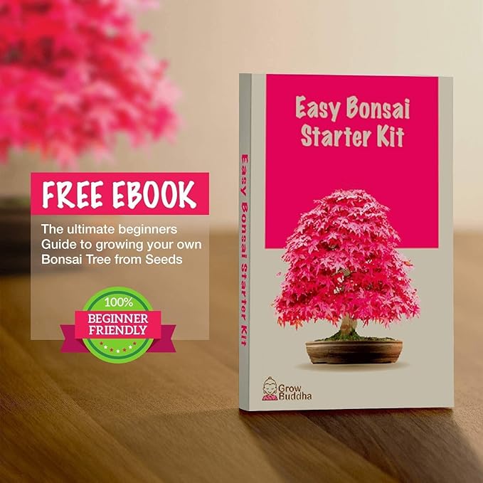 Grow Your Own Bonsai Tree kit | Easily Grow 4 Types of Bonsai Tree with Our Complete Beginner Friendly Bonsai Starter kit | Bonzai Tree | Christmas Gift Set for Plant Lovers (Bonsai Kit)