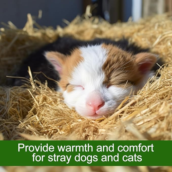 Natural Wheat Straw - 5 LB Dry Straw, Clean and Soft Decorative Straw Bale for Stray Cats Dogs Yard Farm Pets Garden Mulch Grass Cover